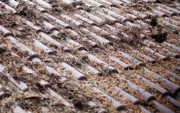 Great Doddington roof cleaning companies